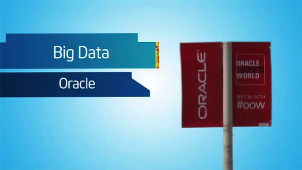 Oracle on Intel for Big Data Systems at OpenWorld 2012